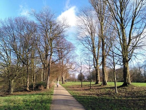 Der Weg führt durch eine Parklandschaft mit winterlich kahlen Bäumen