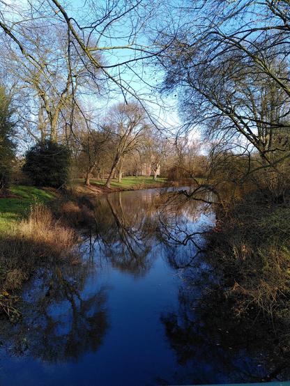 Die Bäume links ins rechts des Gewässers spiegeln sich im Wasser