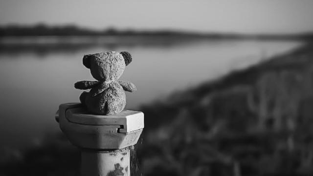 Ein kleiner Teddy sitzt mit dem Rücken zur Kamera und schaut auf den Rhein,