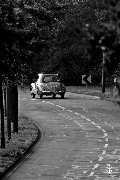 Bild in schwarz weiß. Am Ende der Straße ist der Oldtimer IFA zu sehen. Gesäumt ist die Straße von Bäumen.