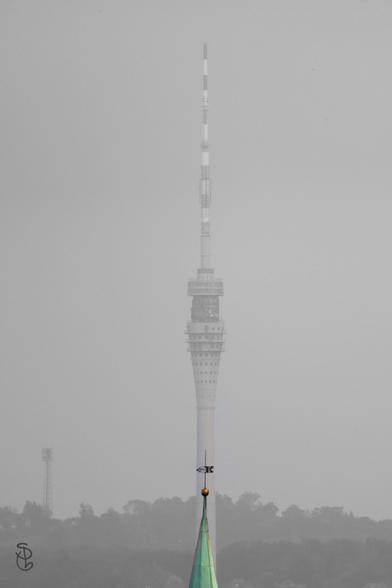 Die Turmspitze Leibnitz-Neuostra und im Hintergrund der Dresdner Fernsehturm. Bild schwarz-weiß, Kirchendach grün.