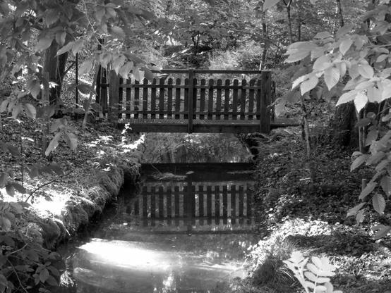 Eine kleine Holzbrücke über einen Kanal, umrandet von Wald.