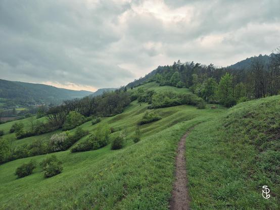 Ein ausgetretener Pfad führt durch eine grüne hügelige Landschaft in der Nähe von Jena, die sogenannte Saalhorizontale. Der Himmel ist mit grauen Wolken verhangen.