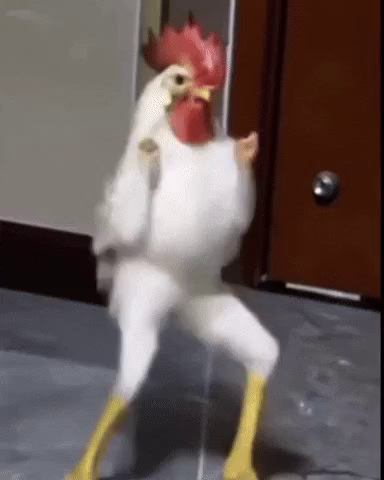 Image attached toot