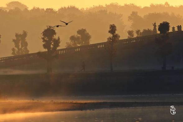 Schlosspark Moritzburg im Nebel. Die Sonne bricht durch den Nebeldunst und erhellt den Teich. Zwei Gänse fliegen, eine Spaziergängerin geht ihren Weg. Das Bild ist grau-gold gefärbt.