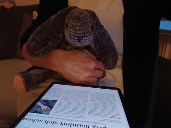 Ich (nur bis Brust sichtbar), Hasi (den die tolle Frida gehäkelt hat 🥰) & aufm Tablet die Tageszeitung. Wir sind seitlich auf der Lehne abgestützt auf dem Sofa drapiert.