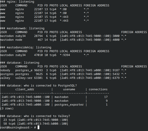 Terminal output from four FreeBSD jails: only nginx listens on IPv4 (ports 80/443). Puma, streaming, Sidekiq, PostgreSQL and Valkey listen on IPv6 addresses only. All PostgreSQL connections (17 Sidekiq, 9 web, 1 exporter) and all Valkey connections (23 web, 58 Sidekiq) come from IPv6 addresses.