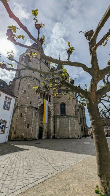 Der Trierer Dom, die romanische Westfassade von der Seite, davor ein Baum, dessen Äste gerade neue Blätter austreiben. Der Himmel ist bewölkt, aber im Vordergrund sieht man Sonnenstrahlen.